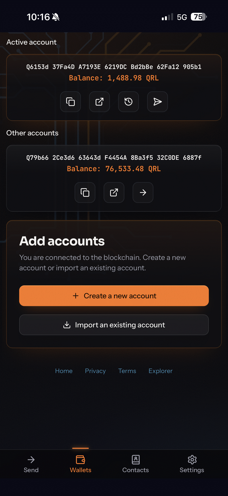 The wallets screen: active and other accounts with balances, add or import accounts